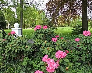 Bloeiende rododendrons bij Huisje in Oldenzaal, vakantiehuis in Twente, kleurrijke tuin.