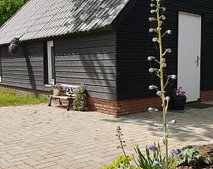 Unterkunft 522804 • Ferienhaus Twente • Huisje in Westerhaar-Vriezenveensewijk 