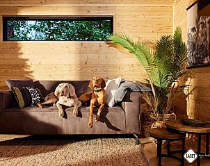 Guest house 522904 - Holiday property Twente - Bungalow Hessenheem