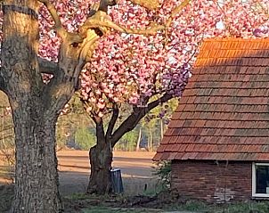 Verblijf 522905 - Vakantiewoning Twente - Huisje in Markelo