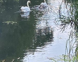 Verblijf 522905 - Vakantiewoning Twente - Huisje in Markelo