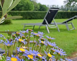 Guest house 522915 - Holiday property Twente - Vakantiehuisje in Markelo