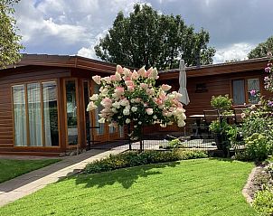 Vakantiehuis in Markelo met prachtige bloesem en groene tuin in Twente, Overijssel.
