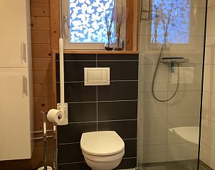 Stijlvolle badkamer met douche in vakantiehuis in Markelo, Twente, Overijssel.