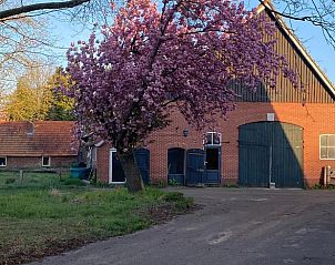 Verblijf 522917 - Vakantiewoning Twente - Vakantiehuis in Markelo
