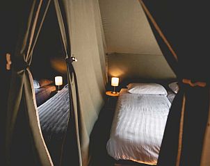 Verblijf 522919 - Tenthuis Twente - Luxe Lodgetent