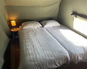 Verblijf 522919 - Tenthuis Twente - Luxe Lodgetent