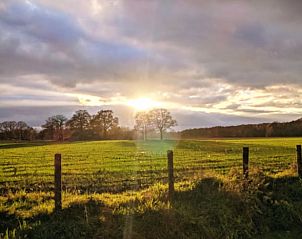 Guest house 522925 - Holiday property Twente - Vakantiehuis in Markelo (Hof van Twente)