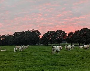 Guest house 522925 - Holiday property Twente - Vakantiehuis in Markelo (Hof van Twente)