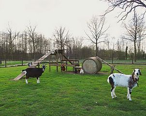 Verblijf 522927 - Vakantiewoning Twente - Vakantiehuis in Markelo