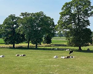 Enjoy the rural views at Holiday Home in Markelo, located in green Twente, Overijssel, surrounded by restful nature.