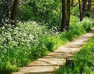 Guest house 522931 - Holiday property Twente - Vakantiehuis in Markelo