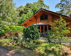 Guest house 522945 - Holiday property Twente - Vrijstaande woning in Markelo