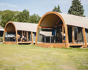 Verblijf 522952 • Tenthuis Twente • Luxe Lodgetent 