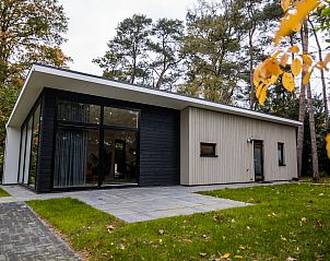 Guest house 522961 - Holiday property Twente - Boslodge 5 persoon