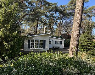 Guest house 522976 - Holiday property Twente - Diverse bungalows te koop