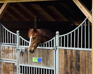 Stylish bathroom in Holiday Home in Usselo, Twente, with luxury shower and modern amenities.
