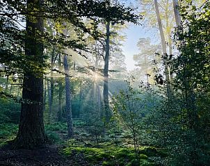 Shower with glass wall in Holiday Home in Usselo, Twente, for a refreshing start to the day.