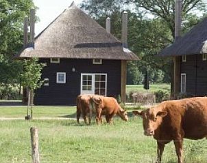 Guest house 523107 - Holiday property Twente - Vakantiehuis in Enter