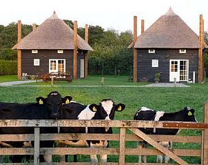 Guest house 523107 - Holiday property Twente - Vakantiehuis in Enter