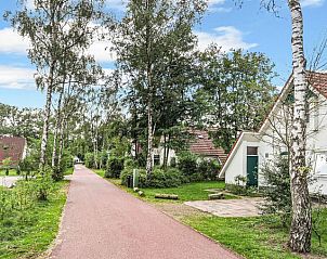 Guest house 523137 - Bungalow Twente - Landgoed De Elsgraven | 4-persoons bungalow | 4CE2