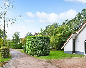 Guest house 523143 - Bungalow Twente - Landgoed De Elsgraven | 4-6-persoons bungalow | 4-6C