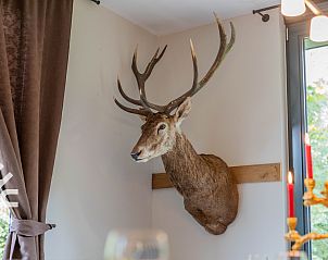 Verblijf 523144 - Vakantiewoning Twente - OV659
