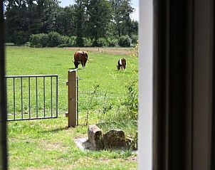 Verblijf 523308 - Vakantiewoning Twente - Vakantiehuis in Albergen