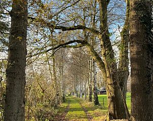 Rustic path surrounded by trees at Holiday home in Albergen, Twente, Overijssel, ideal for nature lovers and hikers.