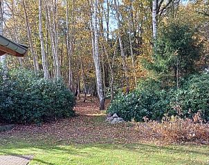 Enjoy the natural surroundings at Holiday Home in Albergen, located in the serene forests of Twente, Overijssel.