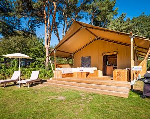 Guest house 523438 • Tent house Twente • Safaritent Comfort 