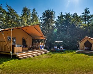 Guest house 523443 • Tent house Twente • Safaritent Premium 