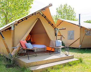Verblijf 523443 - Tenthuis Twente - Safaritent Premium