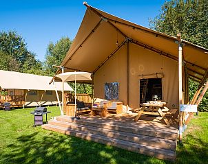 Unterkunft 523444 - Zelthaus Twente - Spotty Lodge Family
