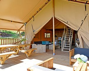 Verblijf 523444 - Tenthuis Twente - Spotty Lodge Family