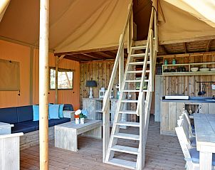 Verblijf 523444 - Tenthuis Twente - Spotty Lodge Family