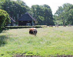 Natuurrijke omgeving van De Klaproos met Hottub, Notter, Twente, vakantiehuis.
