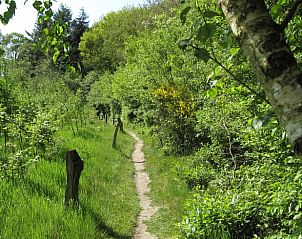 Wandelpad door groene natuur nabij Vakantiehuis in Notter, Twente, Overijssel.