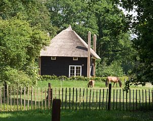 Huisje in Notter, vakantiehuis in Twente, omgeven door groene natuur en grazende paarden.