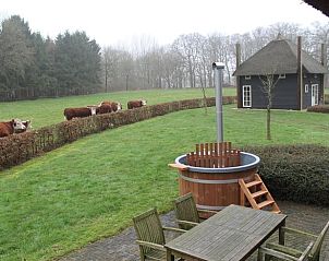 Uitzicht op weiland en koeien vanaf het terras van Huisje in Notter, vakantiehuis in Twente, Overijssel.