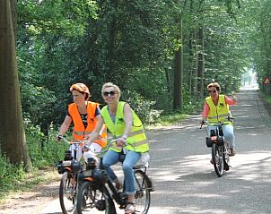 Fietsen door het bos nabij Huisje in Notter, vakantiehuis in het prachtige Twente, Overijssel.
