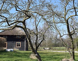 Groene omgeving rond Vakantiehuis in Notter, ideaal voor natuurliefhebbers in Twente, Overijssel.