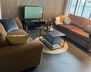 Comfortabele zithoek in Vakantiehuisje in Daarle, Twente, met banken en tv.