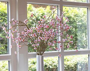 Guest house 523806 - Holiday property Twente - Vakantiehuis in Losser