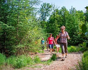 Guest house 523806 - Holiday property Twente - Vakantiehuis in Losser