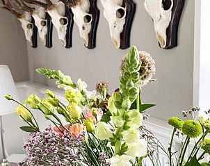 Guest house 523815 - Holiday property Twente - Huisje in Losser