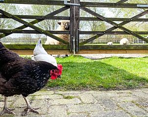 Guest house 523815 - Holiday property Twente - Huisje in Losser