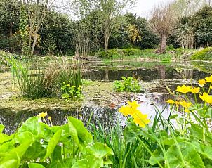 Guest house 523815 - Holiday property Twente - Huisje in Losser