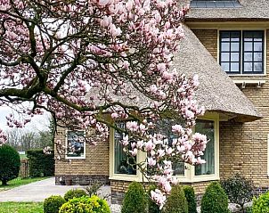 Guest house 523815 - Holiday property Twente - Huisje in Losser