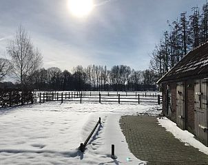 Guest house 523815 - Holiday property Twente - Huisje in Losser
